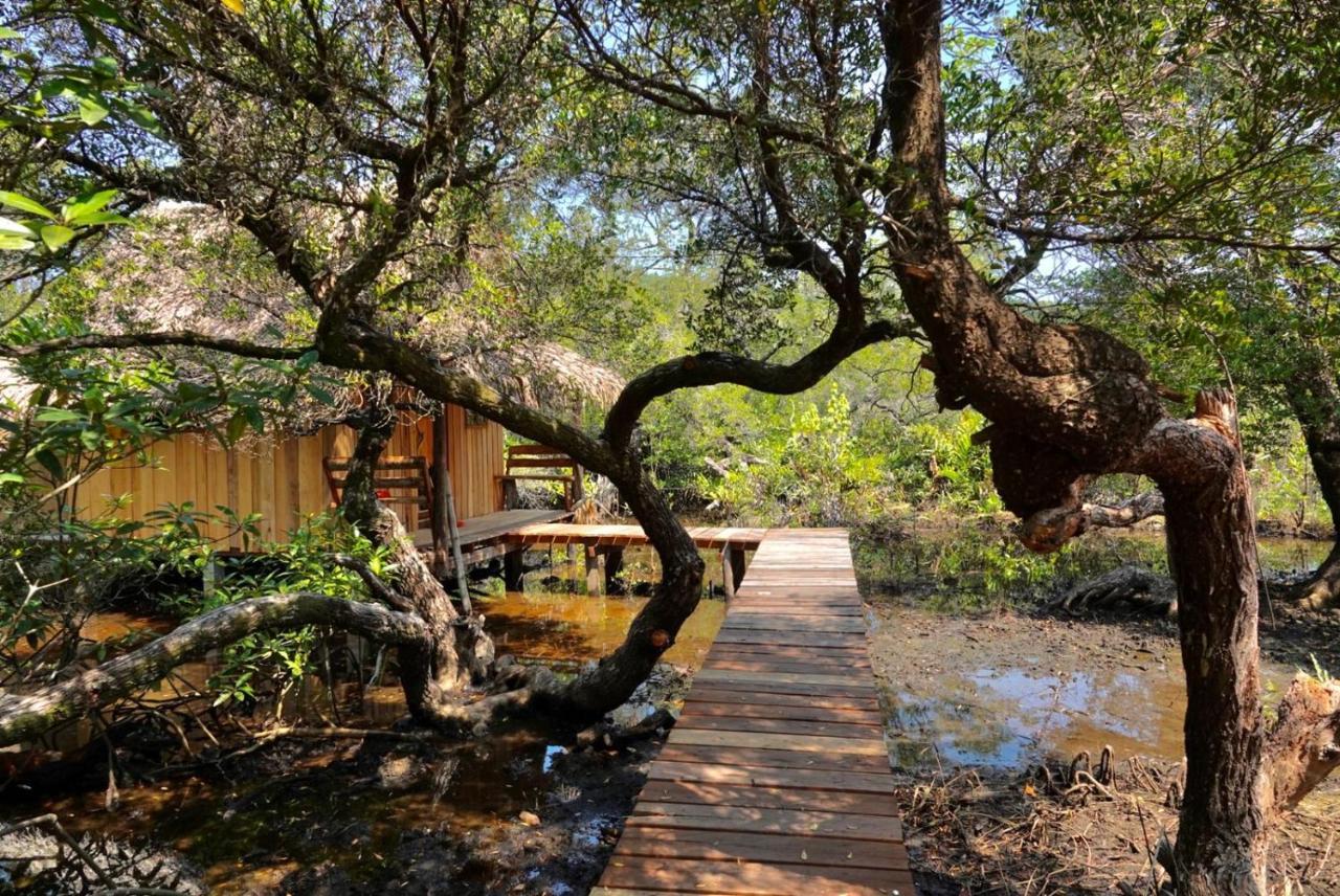 Prek Svay Village Lily'S Riverhouse מראה חיצוני תמונה