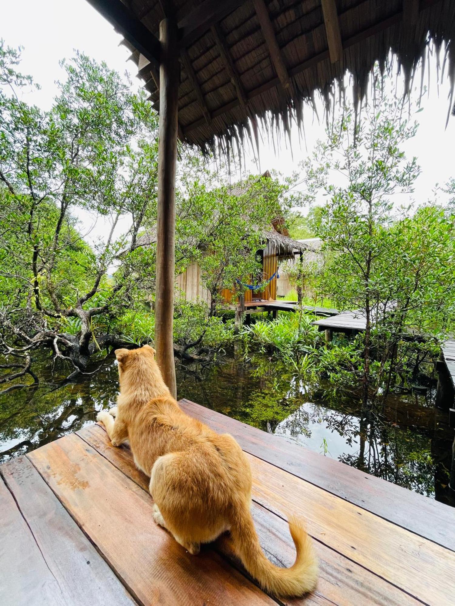 Prek Svay Village Lily'S Riverhouse מראה חיצוני תמונה