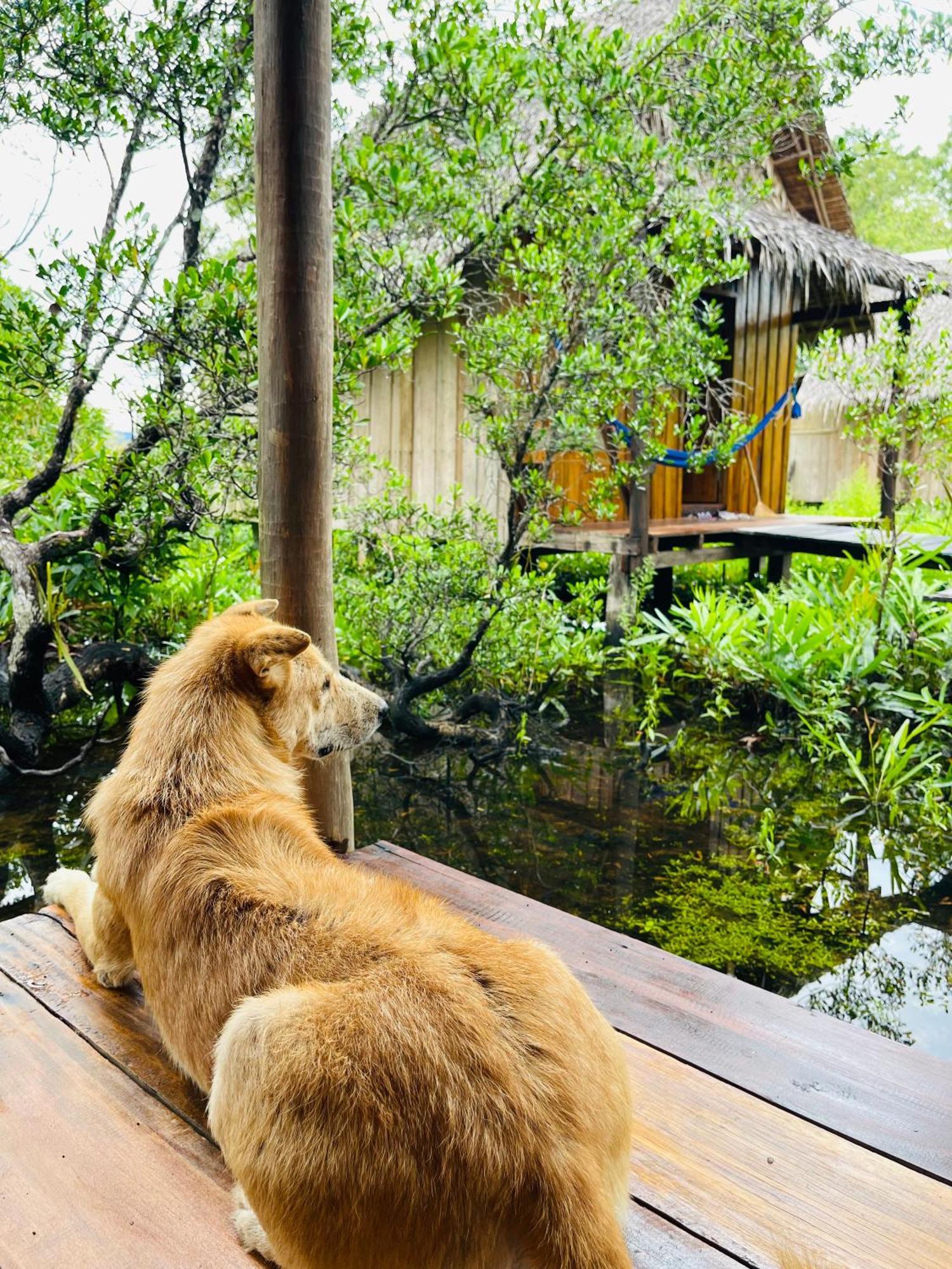 Prek Svay Village Lily'S Riverhouse מראה חיצוני תמונה